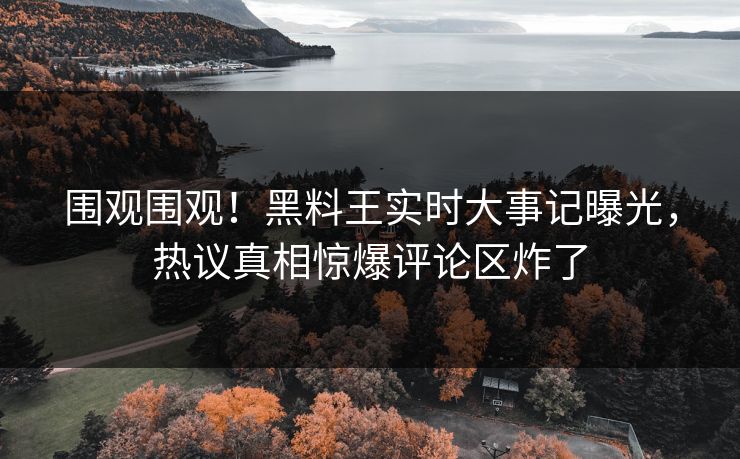 围观围观！黑料王实时大事记曝光，热议真相惊爆评论区炸了