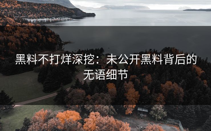 黑料不打烊深挖：未公开黑料背后的无语细节