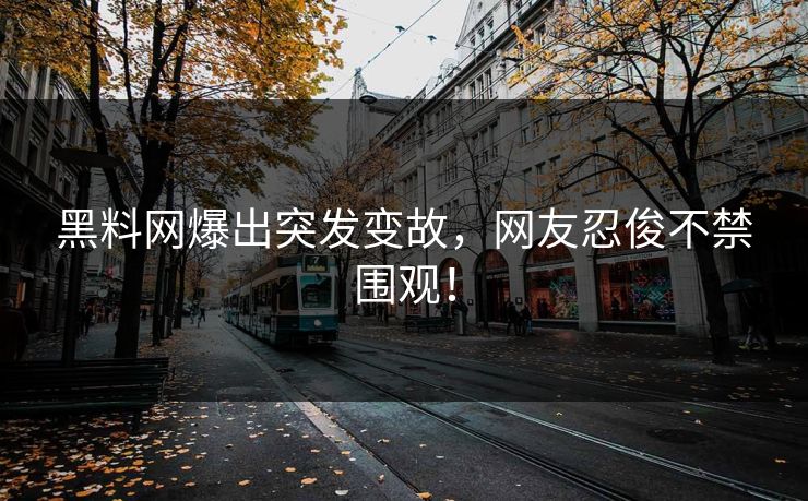 黑料网爆出突发变故，网友忍俊不禁围观！