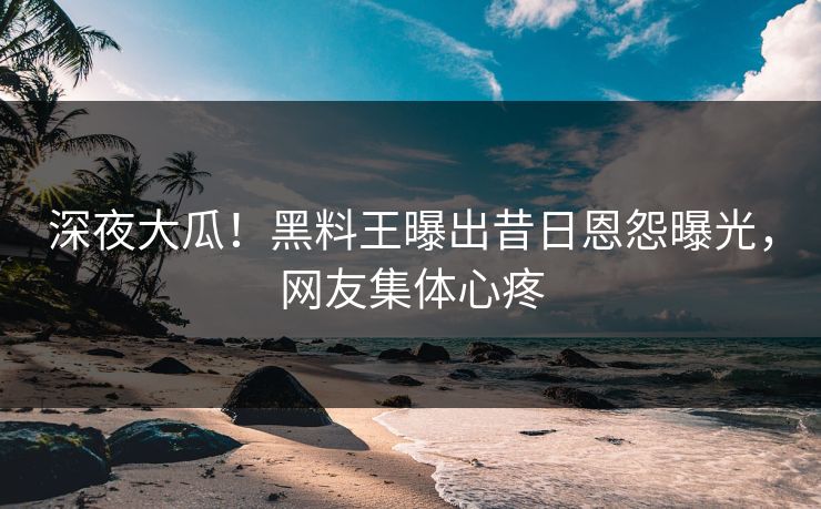 深夜大瓜！黑料王曝出昔日恩怨曝光，网友集体心疼