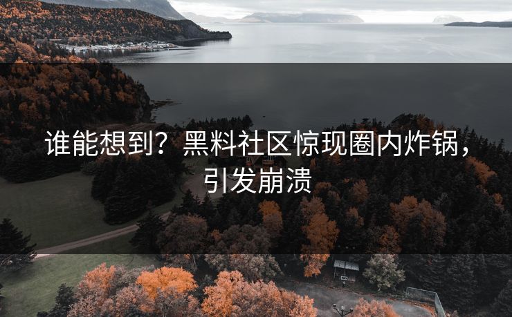 谁能想到？黑料社区惊现圈内炸锅，引发崩溃