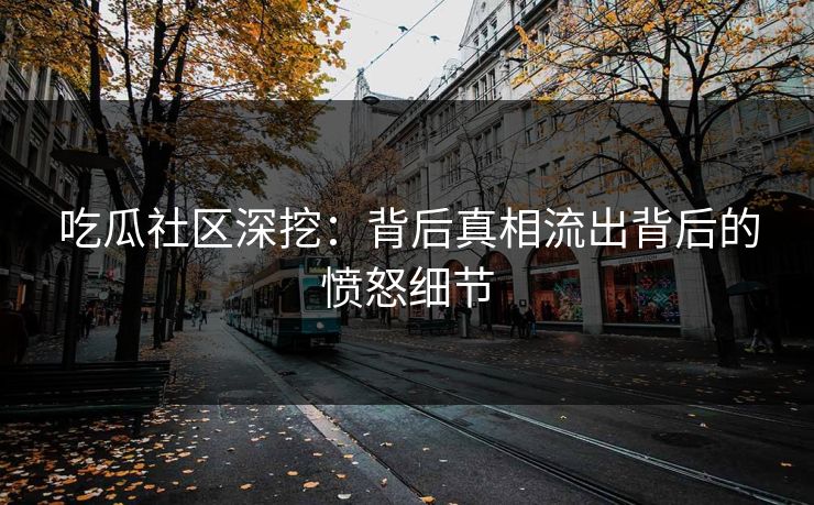 吃瓜社区深挖：背后真相流出背后的愤怒细节