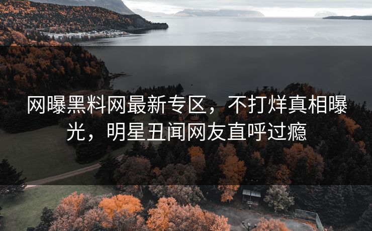 网曝黑料网最新专区，不打烊真相曝光，明星丑闻网友直呼过瘾