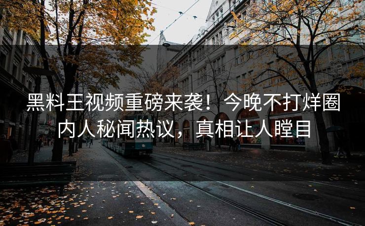 黑料王视频重磅来袭！今晚不打烊圈内人秘闻热议，真相让人瞠目