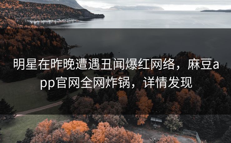 明星在昨晚遭遇丑闻爆红网络，麻豆app官网全网炸锅，详情发现