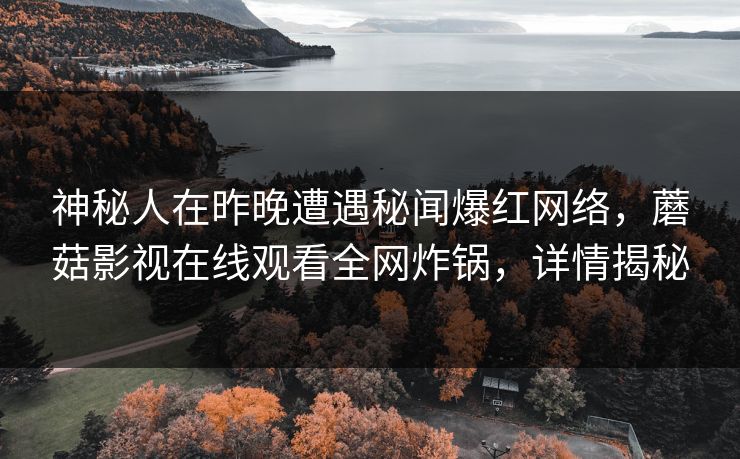 神秘人在昨晚遭遇秘闻爆红网络，蘑菇影视在线观看全网炸锅，详情揭秘