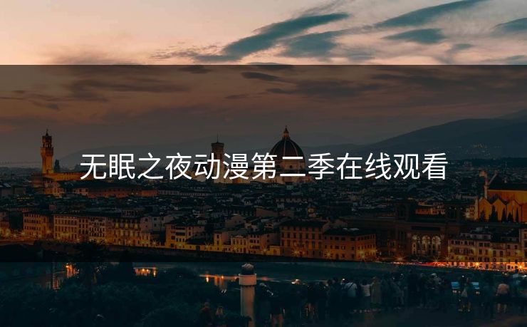 无眠之夜动漫第二季在线观看