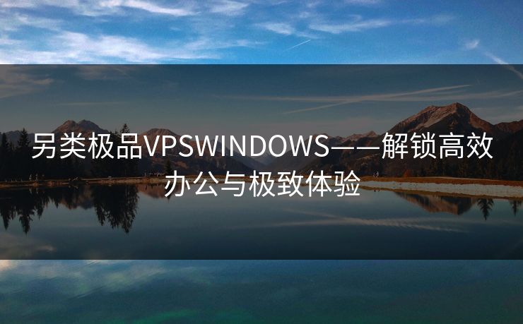 另类极品VPSWINDOWS——解锁高效办公与极致体验