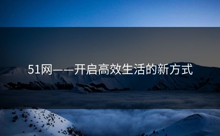51网——开启高效生活的新方式
