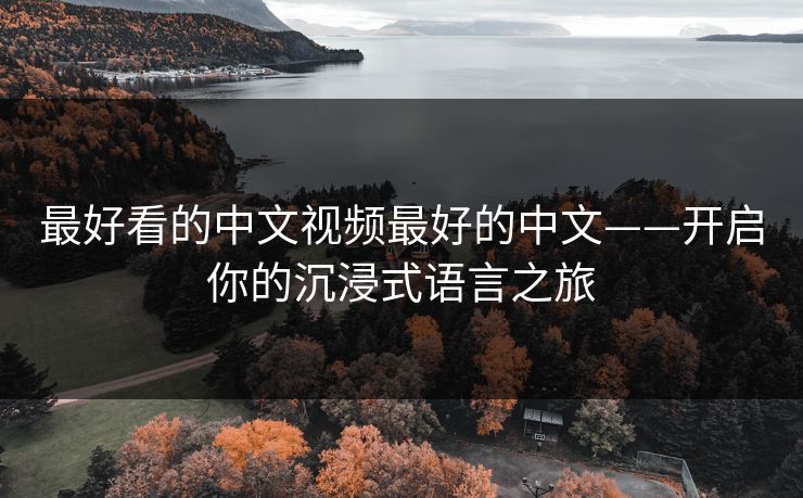 最好看的中文视频最好的中文——开启你的沉浸式语言之旅